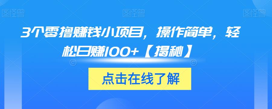 3个零撸赚钱小项目，操作简单，轻松日赚100+【揭秘】-氢气球网创资源库