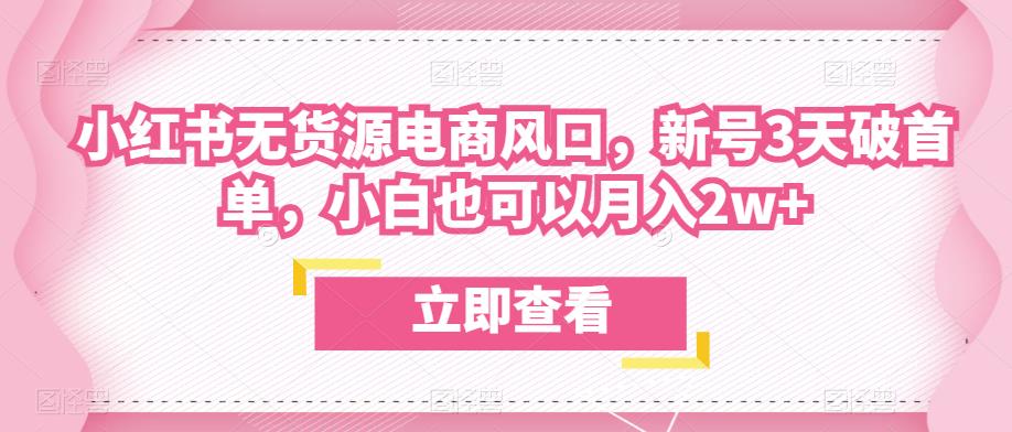 众狼电商余文小红书无货源电商风口，新号3天破首单，小白也可以月入2w+-氢气球网创资源库