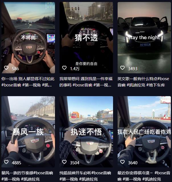 抖音开车视频项目，0基础操作，每天五分钟，月入1W+【揭秘】-氢气球网创资源库