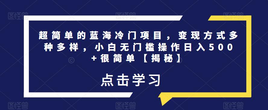 超简单的蓝海冷门项目，变现方式多种多样，小白无门槛操作日入500+很简单【揭秘】-氢气球网创资源库
