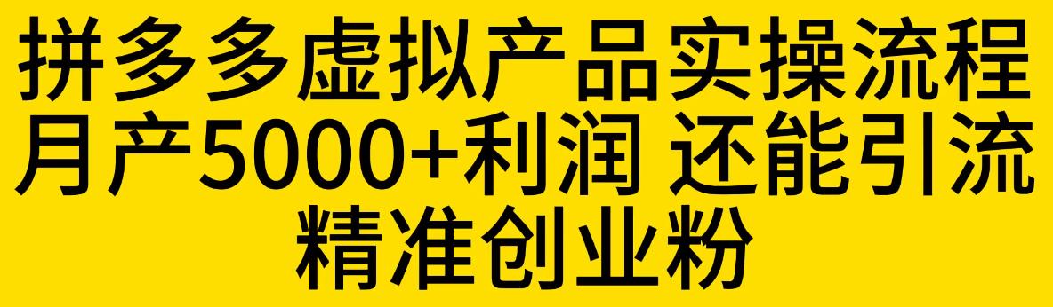 拼多多虚拟产品实操流程，月产5000+利润，还能引流精准创业粉【揭秘】-氢气球网创资源库