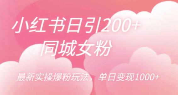 小红书日引200+同城女粉，最新实操爆粉玩法，单日变现1000+【揭秘】-氢气球网创资源库
