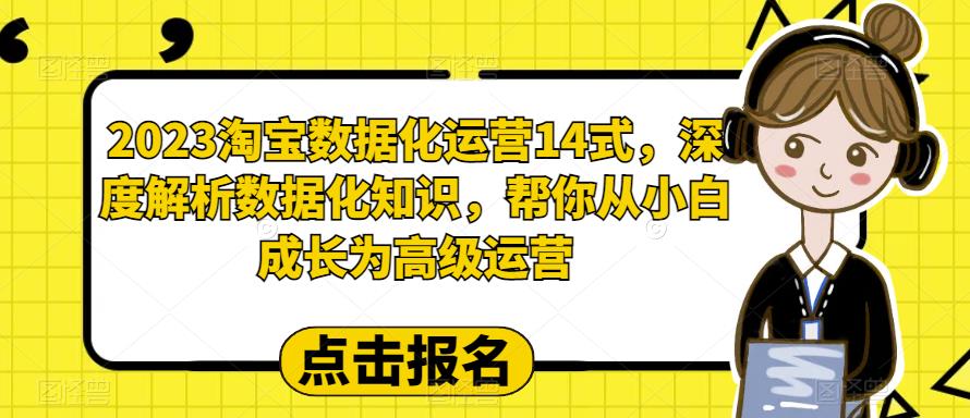2023淘宝数据化运营14式，深度解析数据化知识，帮你从小白成长为高级运营-氢气球网创资源库