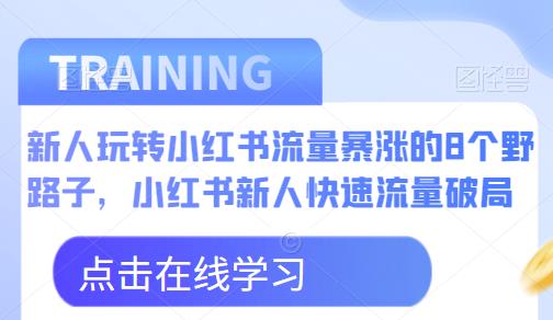 新人玩转小红书流量暴涨的8个野路子，小红书新人快速流量破局-氢气球网创资源库