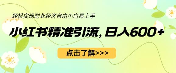 小红书精准引流，小白日入600+，轻松实现副业经济自由（教程+1153G资源）-氢气球网创资源库