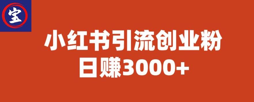宝哥小红书引流创业粉，日赚3000+【揭秘】-氢气球网创资源库