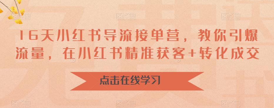 16天小红书导流接单营，教你引爆流量，在小红书精准获客+转化成交-氢气球网创资源库
