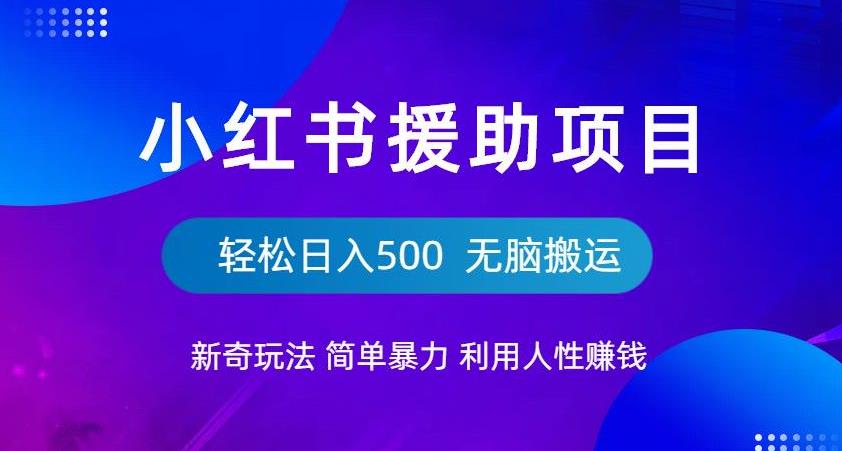 小红书援助项目新奇玩法，简单暴力，无脑搬运轻松日入500【揭秘】-氢气球网创资源库