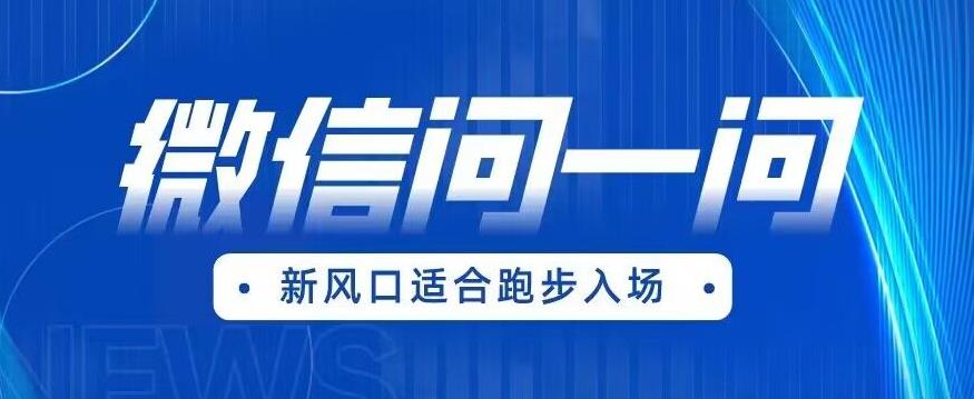 全网首发微信问一问新风口变现项目（价值1999元）【揭秘】-氢气球网创资源库