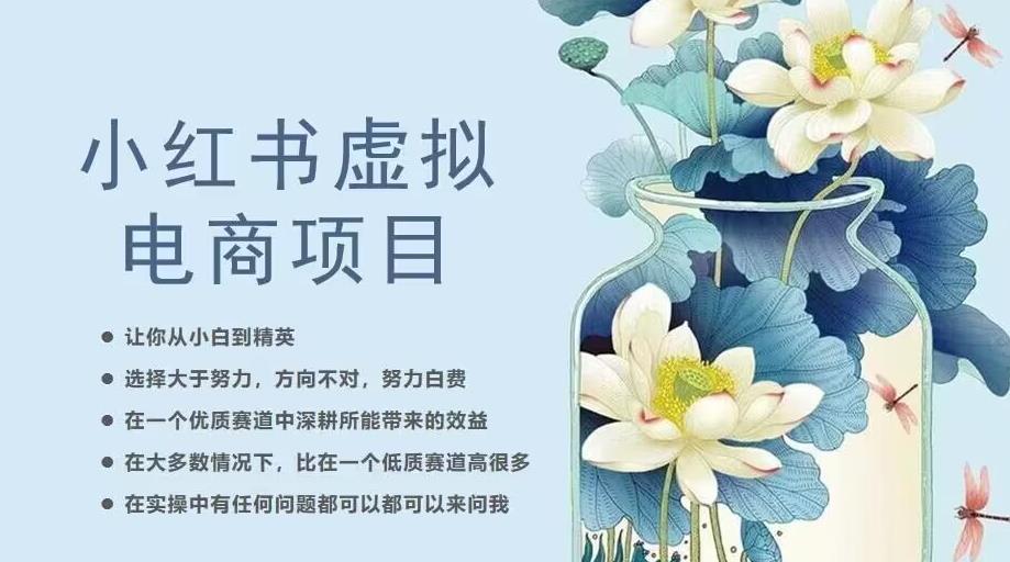 小红书虚拟电商从0到1，让你从小白到精英（20节实操课程）-氢气球网创资源库