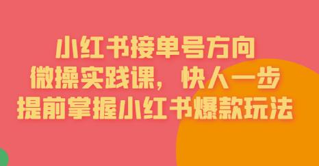 接单号方向·小红书微操实践课，快人一步，提前掌握小红书爆款玩法-氢气球网创资源库