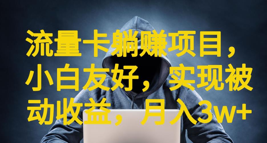 流量卡躺赚项目，小白友好，开设后台，实现被动收益，只要出卡，就能一直赚钱，利润高昂【揭秘】-氢气球网创资源库