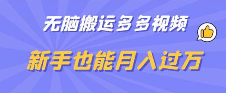 无脑搬运多多视频，新手也能月入过万【揭秘】-氢气球网创资源库