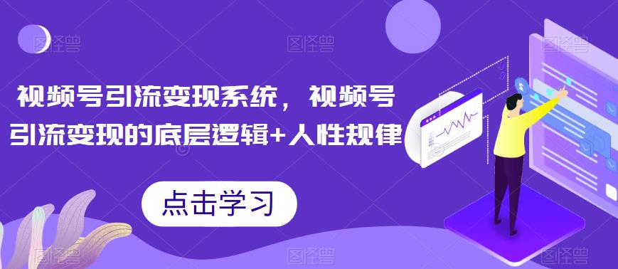 视频号引流变现系统，视频号引流变现的底层逻辑+人性规律-氢气球网创资源库