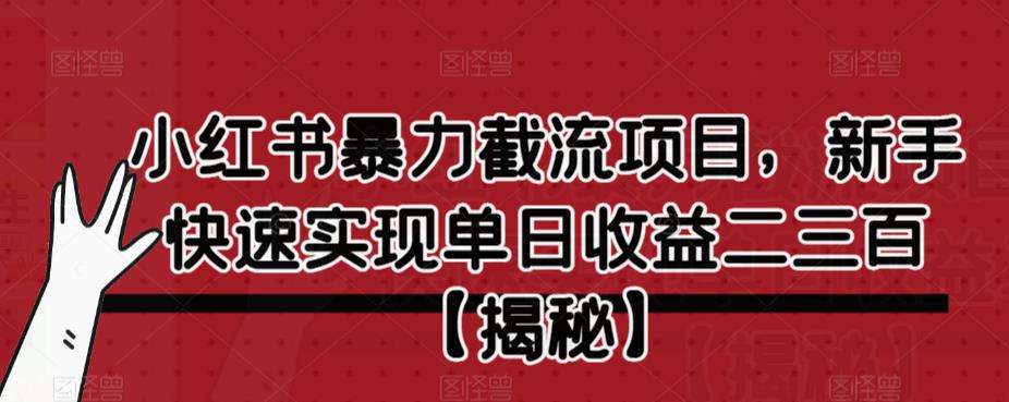小红书暴力截流项目，新手快速实现单日收益二三百【仅揭秘】-氢气球网创资源库