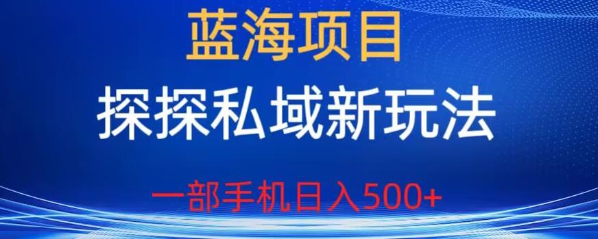 蓝海项目，探探私域新玩法，一部手机日入500+很轻松【揭秘】-氢气球网创资源库