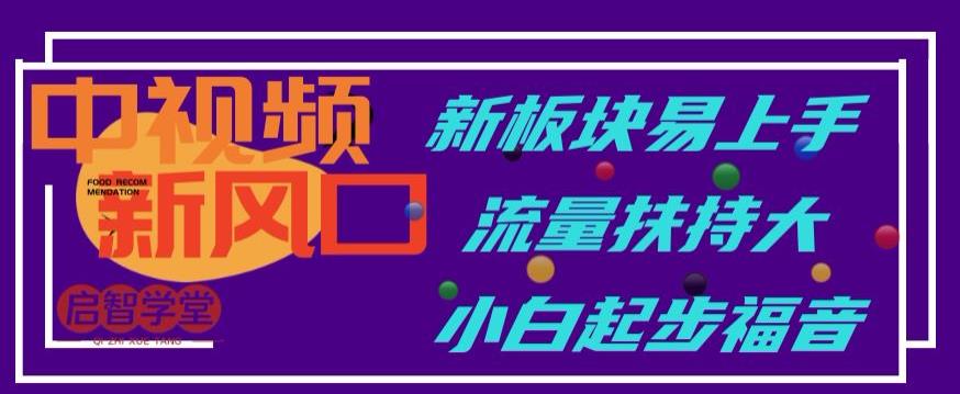 中视频新风口，新板块易上手，流量扶持大，小白起步福音【揭秘】-氢气球网创资源库