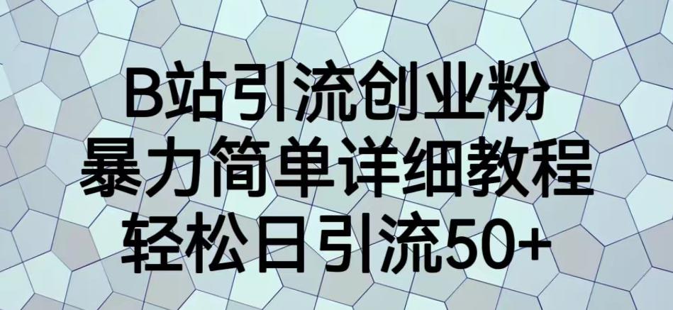 B站引流创业粉，暴力简单详细教程，轻松日引流50+【揭秘】-氢气球网创资源库