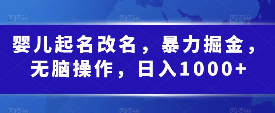 婴儿起名改名，暴力掘金，无脑操作，日入1000+【揭秘】-氢气球网创资源库