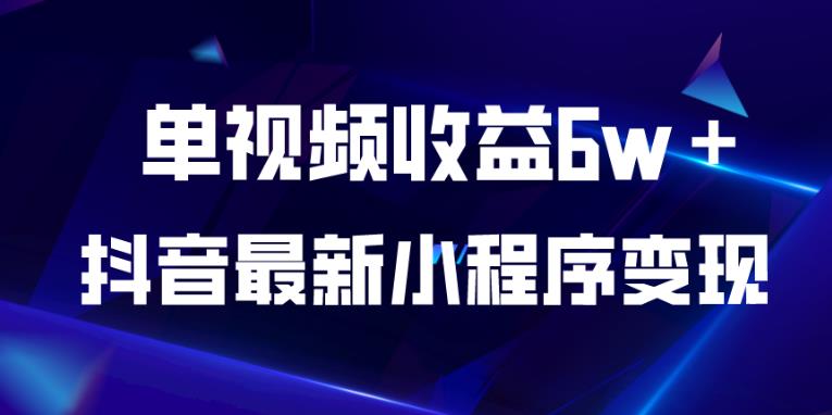 抖音最新小程序变现项目，单视频收益6w＋，小白可做【揭秘】-氢气球网创资源库