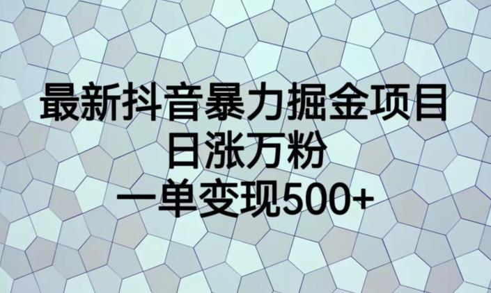 最新抖音暴力掘金项目，日涨万粉，一单变现500+【揭秘】-氢气球网创资源库
