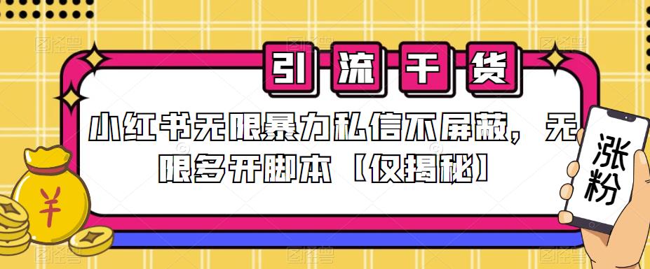 小红书无限暴力私信不屏蔽，无限多开脚本【仅揭秘】-氢气球网创资源库