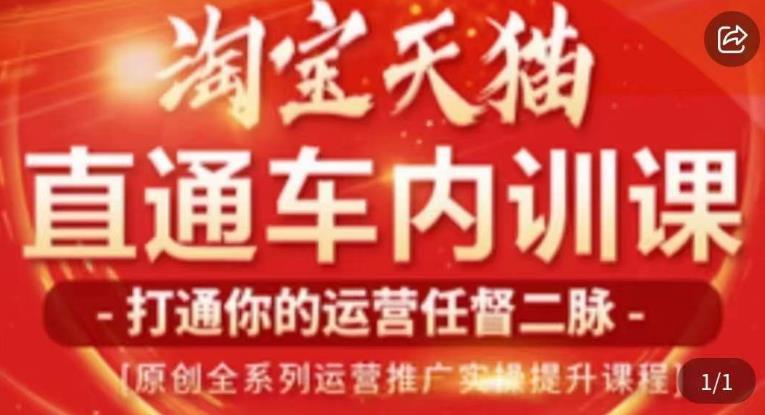 天问电商·2023淘宝天猫直通车内训课，零基础学起直通车运营实操课程-氢气球网创资源库