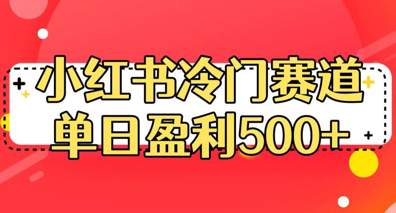 小红书冷门赛道，单日盈利500+【揭秘】-氢气球网创资源库