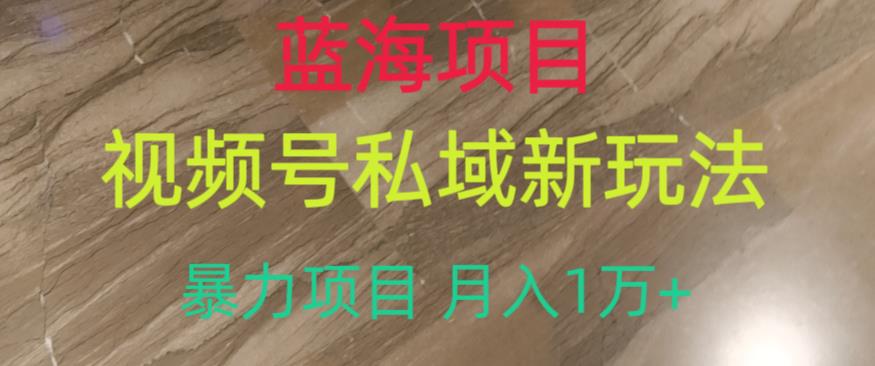 蓝海项目，视频号私域新玩法，暴力项目月入1万+【揭秘】-氢气球网创资源库