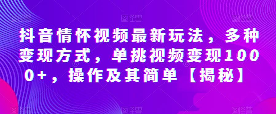 抖音情怀视频最新玩法，多种变现方式，单挑视频变现1000+，操作及其简单【揭秘】-氢气球网创资源库