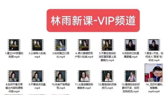 林雨新课VIP频道，玩赚私域/朋友圈/社群-氢气球网创资源库