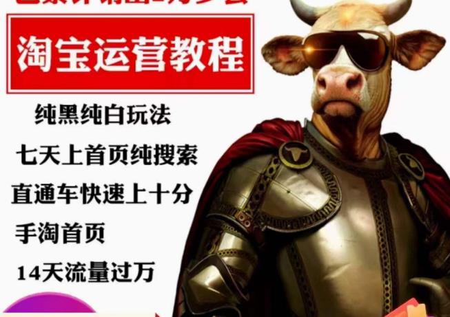 猫老师·淘系算法逆向解密，​纯黑纯白玩法，七天上首页纯搜索，手淘首页14天流量过万-氢气球网创资源库