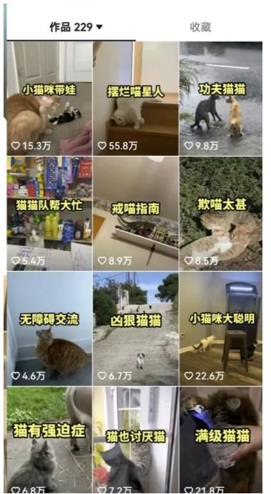 拆解抖音盘点类中视频变现副业项目，视频版一条龙大解析分享给你【视频课程】-氢气球网创资源库