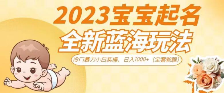 2023宝宝起名全新蓝海玩法，冷门暴力小白实操，日入1000+（全套教程）【揭秘】-氢气球网创资源库