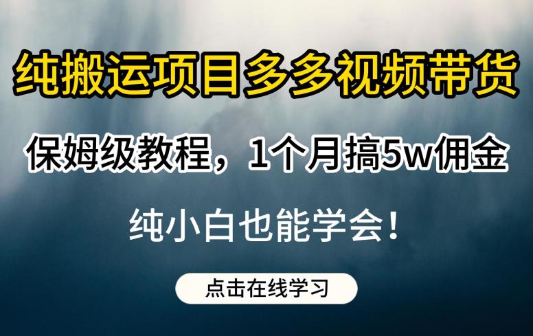 纯搬运项目多多视频带货保姆级教程，1个月搞5w佣金，纯小白也能学会【揭秘】-氢气球网创资源库