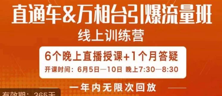 直通车&万相台引爆流量班，6天打通你开直通车·万相台的任督二脉-氢气球网创资源库