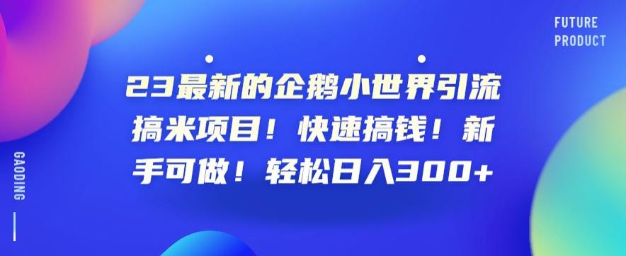 23最新的企鹅小世界引流搞米项目！快速搞钱！新手可做！轻松日入300+【揭秘】-氢气球网创资源库