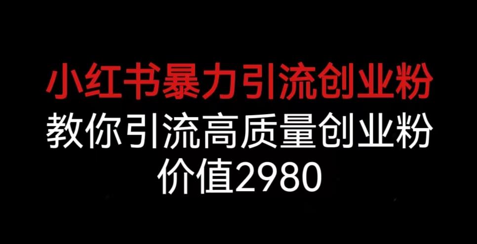 小红书暴力引流创业粉，教你引流高质量创业粉，价值2980【揭秘】-氢气球网创资源库