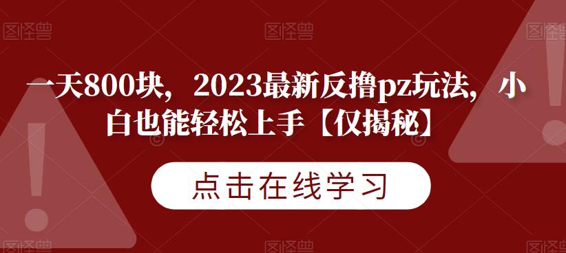 一天800块，2023最新反撸pz玩法，小白也能轻松上手【仅揭秘】-氢气球网创资源库