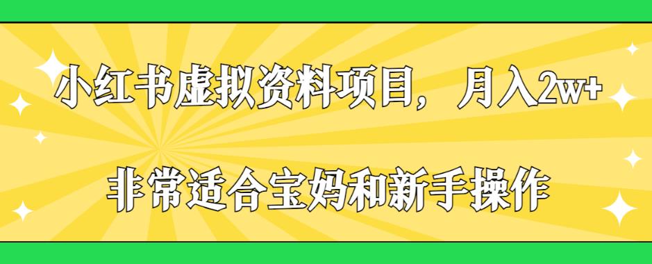 小红书虚拟资料项目，月入2w+，非常适合宝妈和新手操作【揭秘】-氢气球网创资源库