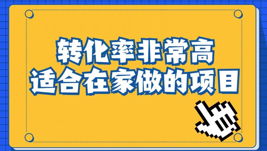 小红书虚拟电商项目：从小白到精英（视频课程+交付手册）-氢气球网创资源库