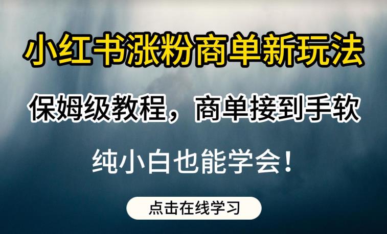 小红书涨粉商单新玩法，保姆级教程，商单接到手软，纯小白也能学会【揭秘】-氢气球网创资源库