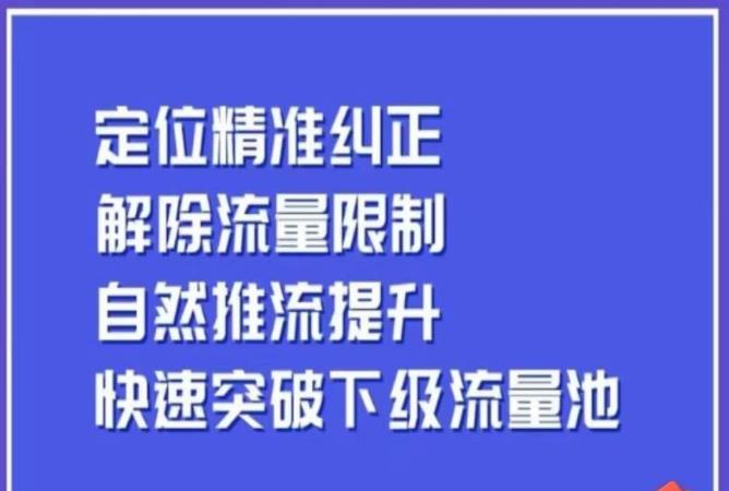 同城账号付费投放运营优化提升，​定位精准纠正，解除流量限制，自然推流提升，极速突破下级流量池-氢气球网创资源库