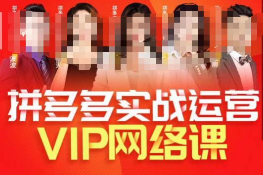 推易拼多多VIP全套直播课程，拼多多店铺实操玩法+实战玩法选款内功+直通车高阶等-氢气球网创资源库
