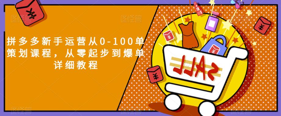 拼多多新手运营从0-100单策划课程，从零起步到爆单详细教程-氢气球网创资源库