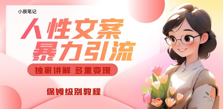 独家人性文案玩法，暴力引流多重变现，保姆级教程【揭秘】-氢气球网创资源库