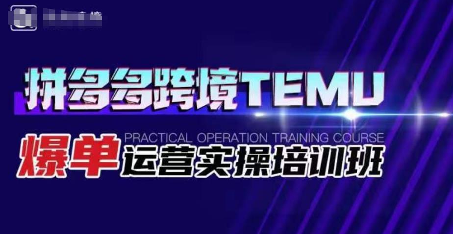 拼多多跨境TEMU爆单运营实操培训班，海外拼多多的选品、运营、爆单-氢气球网创资源库