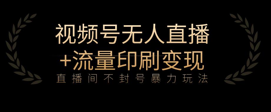 全网首发视频号不封号无人直播暴利玩法+流量印刷机变现，日入1000+【揭秘】-氢气球网创资源库