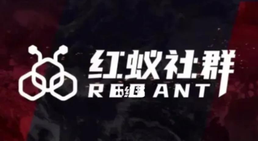 社群运营：红蚁社群【48节落地系统课程+2000人高端社群】-氢气球网创资源库