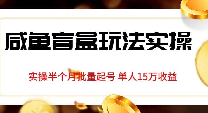 独家首发咸鱼盲盒玩法实操，半个月批量起号单人15万收益【揭秘】-氢气球网创资源库